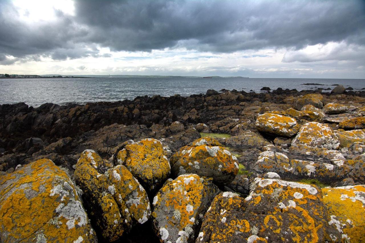 Tern Cottage Groomsport Exteriör bild